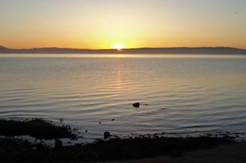 sunrise gold sf bay calm water
